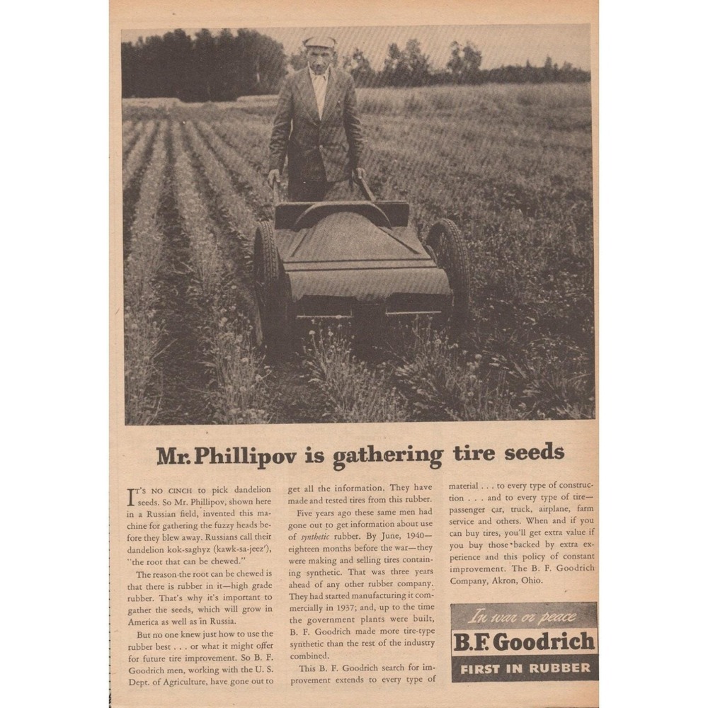 BF Goodrich Tire Seeds Rubber Research WWII Farm Field Vintage Print Ad 1945